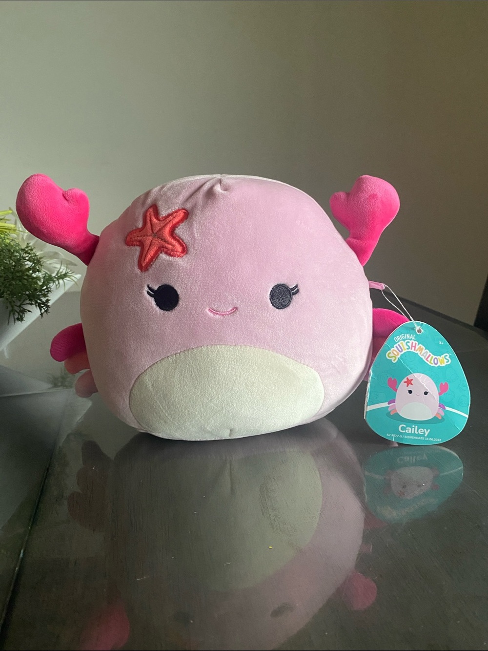 NEW🌈 Squishmallows Crab Cailey Pink and White Plush
